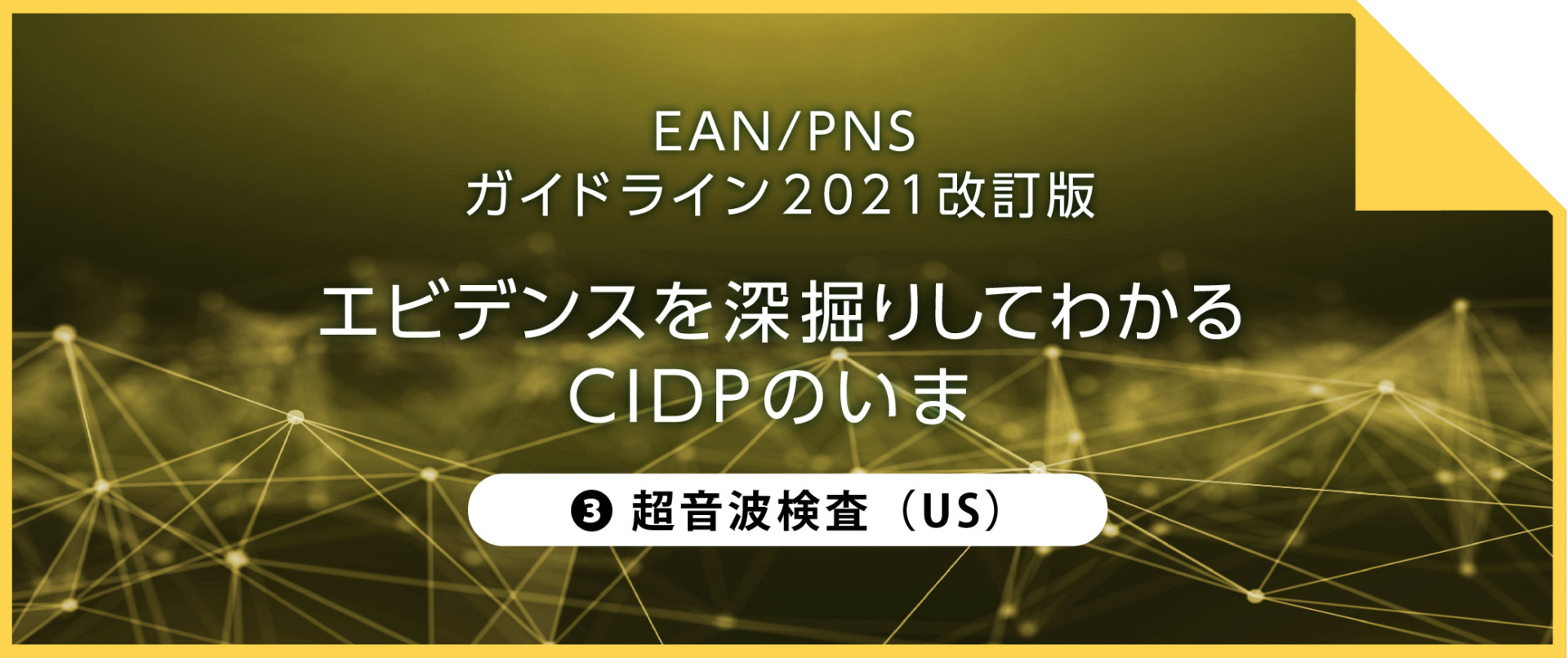 エビデンスを深掘りしてわかるCIDPのいま ③超音波検査（US）