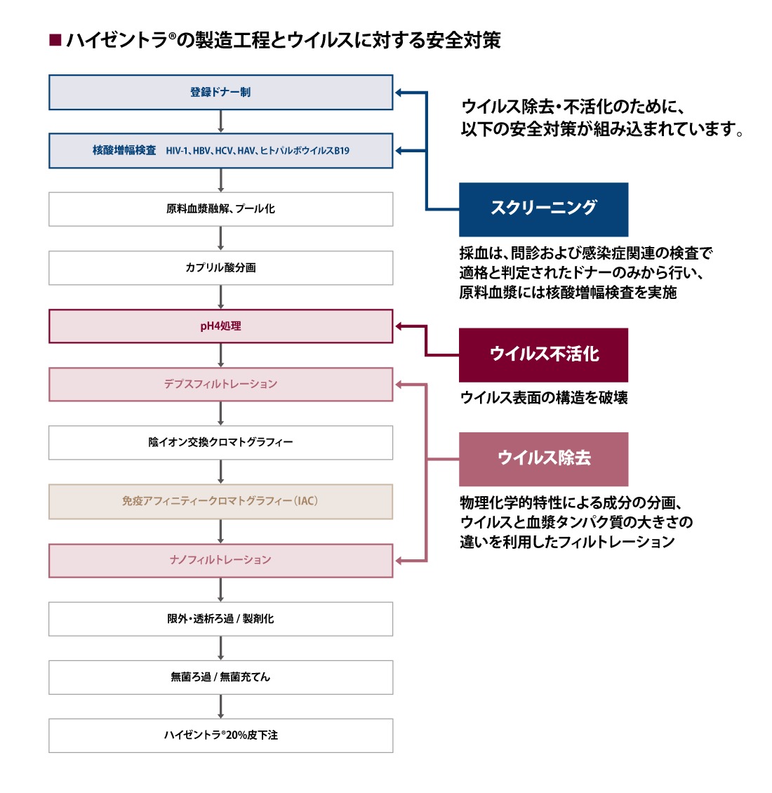 ハイゼントラ20%皮下注の製造工程とウイルスに対する安全対策