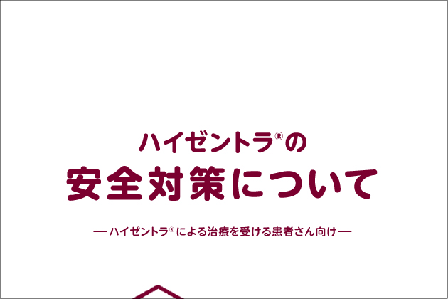 ハイゼントラの安全対策について