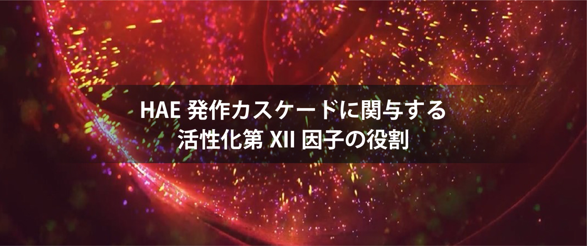 HAE発作カスケードに関与する活性化第XII因子の役割